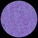 Paper Iridescent Purple Haze **ND-SO**