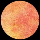 Paper Sheer Watercolor Momi - Orange/Red **ND-SO**