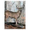 Royal & Langnickel Colured Pencil by Numbers Whitetail Buck