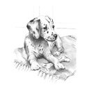 Royal & Langnickel Sketching Made Easy Dalmation Pup