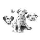 Royal & Langnickel Sketching Made Easy Dalmations