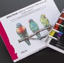 Spectrum Very-Thick Pencils 288 Class Pack