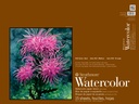 Strathmore 400 Watercolor Block 18"x24"