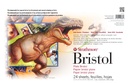 Strathmore 500 Bristol Plate 2 Ply 24 Sheet pk 11" x 17"