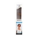 Willow Wolfe Seneca Artist Brush Portrait Set