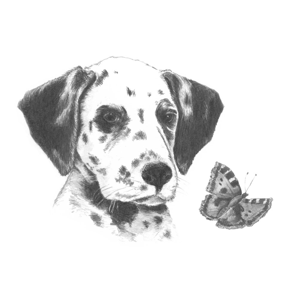 Royal & Langnickel Mini Sketching Made Easy Dalmatian Pup