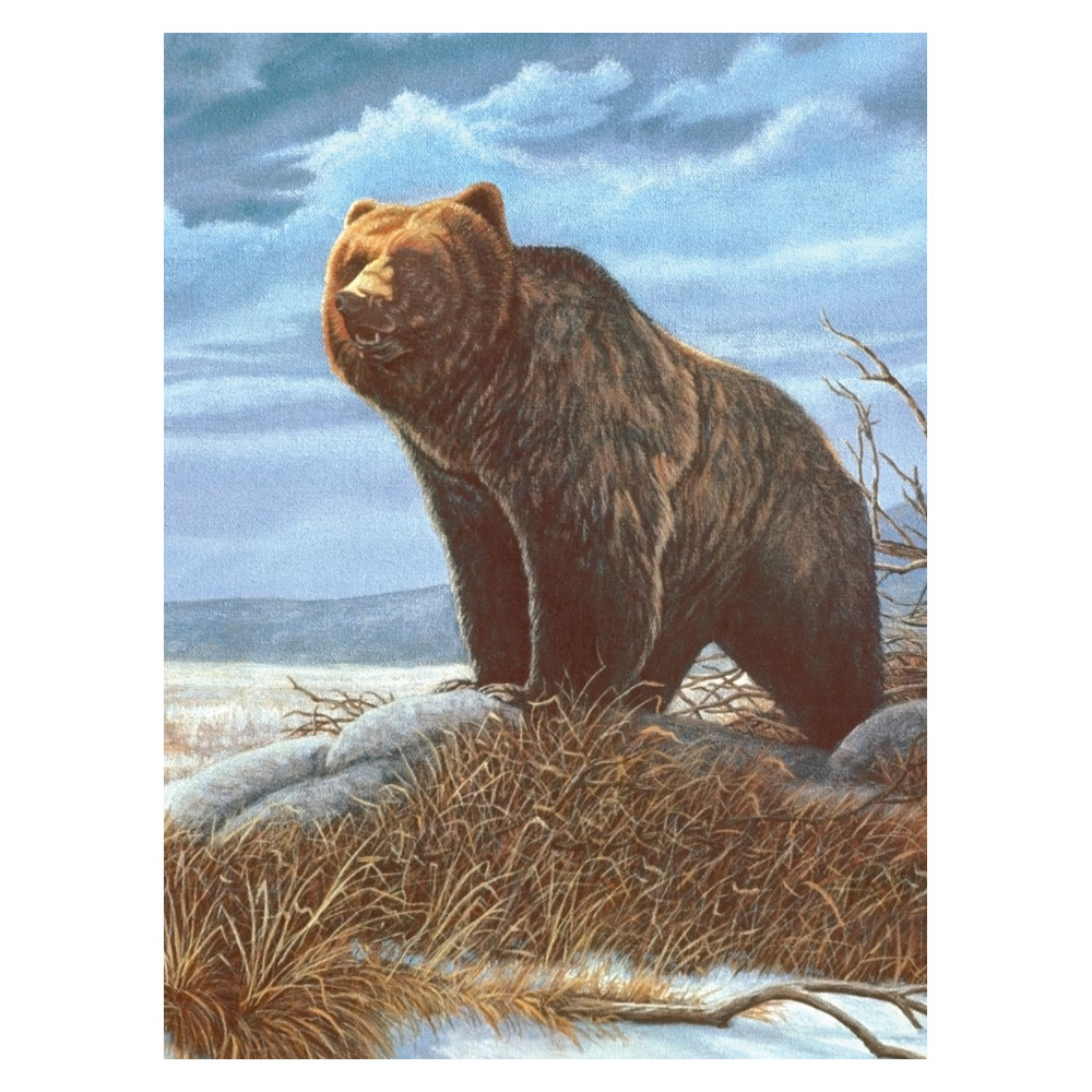 Royal & Langnickel Paint By Numbers Grizzly Bear