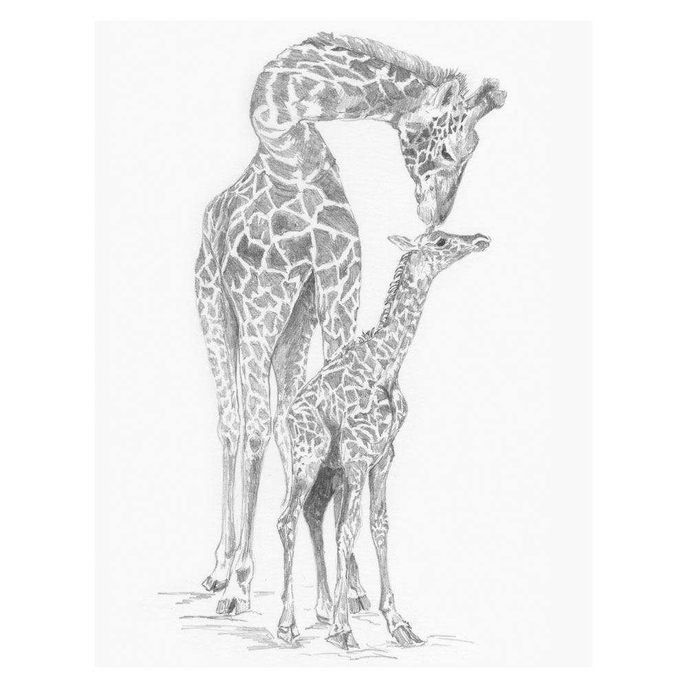 Royal & Langnickel Sketching Made Easy Giraffe & Baby