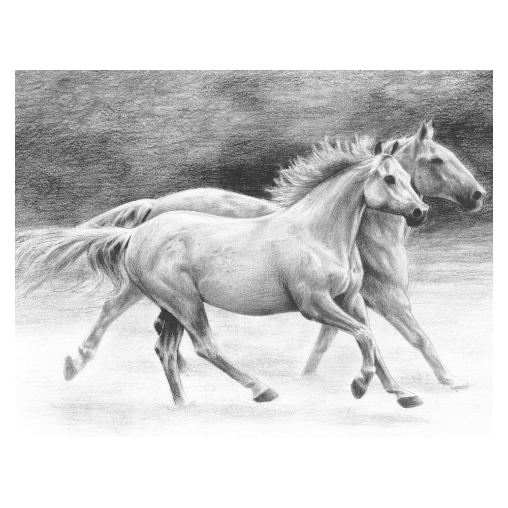 Royal & Langnickel Sketching Made Easy Running Free