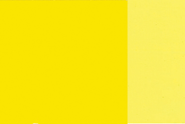 Holbein Artists Oil 40ml H243 Perm Yellow Lemon SA