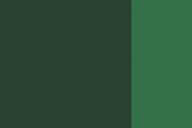 Holbein Artists Oil 40ml H279 Perm Green SA