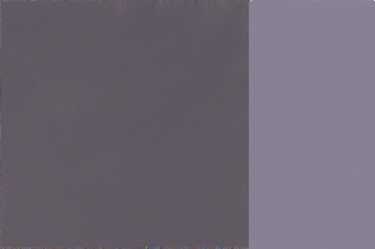 Holbein Artists Oil 40ml H379 Monochrome Tint C SA