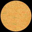 Paper Iridescent – Gold Rush **ND-SO**