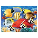 Royal & Langnickel Paint By Numbers Junior Large Tropical Fish