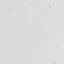 Spectrum Oil Pastels set of 12 White