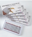 Spectrum Student Oil Pastels 12 White