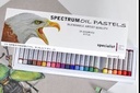 Spectrum Student Oil Pastels 24 Assorted Colours