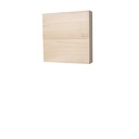 Walnut Hollow Basswood Canvas 8x8"